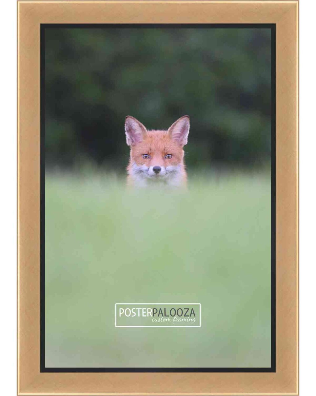 Simple Gold Picture Frame - UV Acrylic, Foam Board Backing, Hanging Hardware